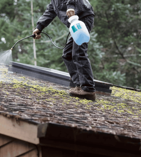 Moss Removal